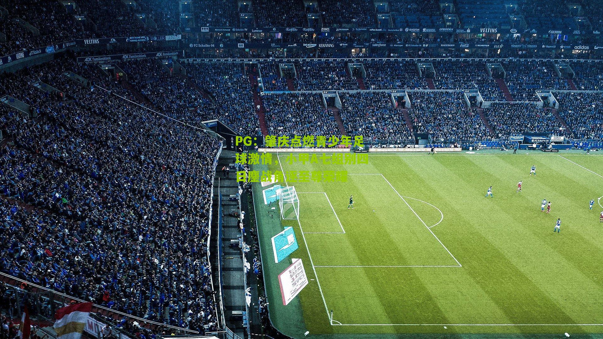 肇庆点燃青少年足球激情,小甲A七组别四日鏖战角逐至尊荣耀